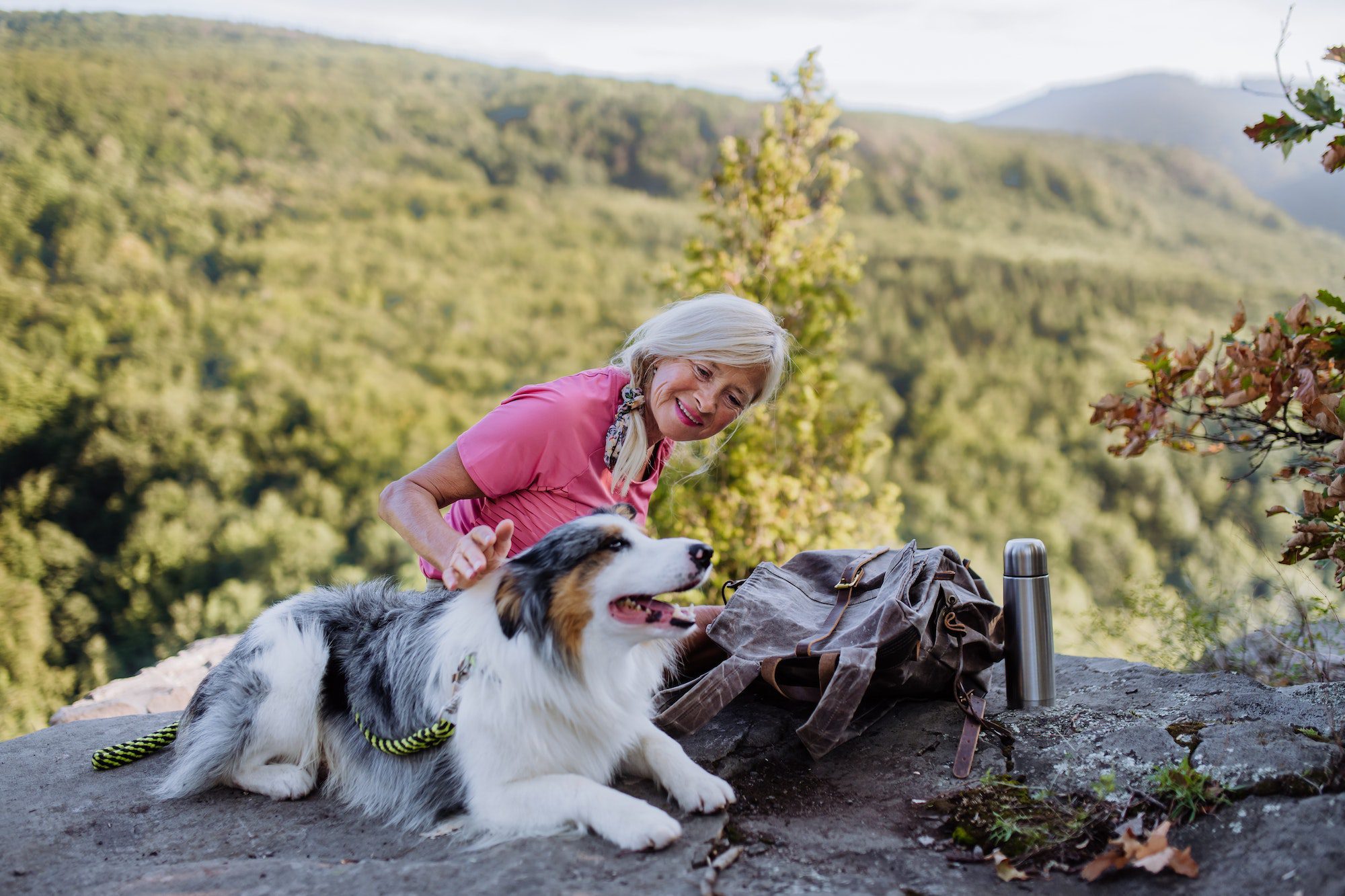 Senior woman resting and stroking her dog during walking in forest with Medicare Advantage