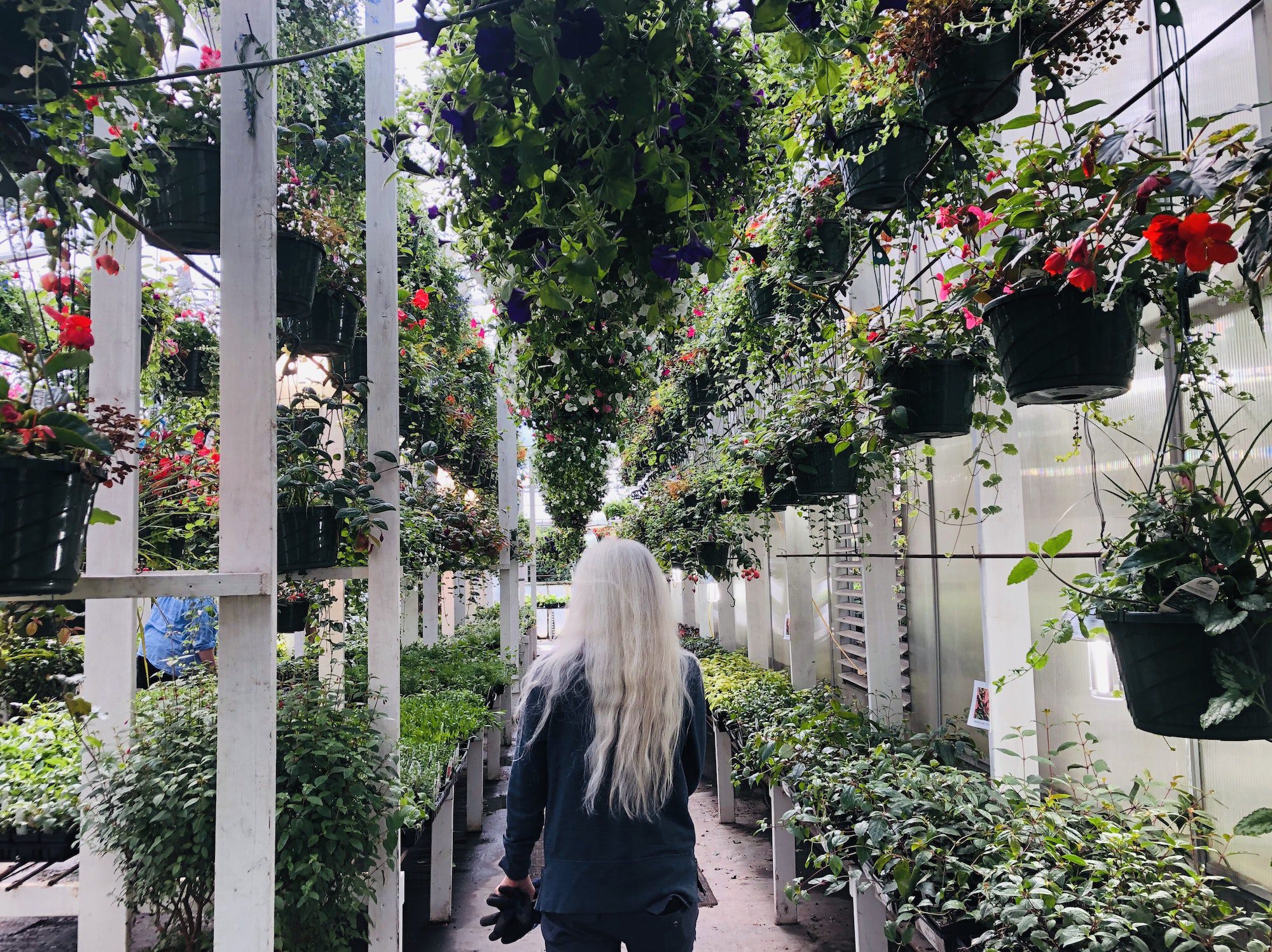 Senior at garden store plant perspective